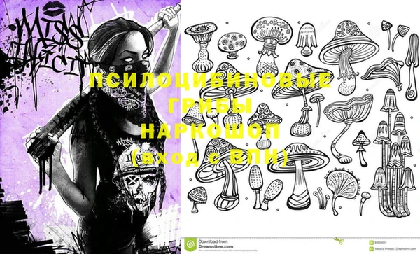 меф Вяземский