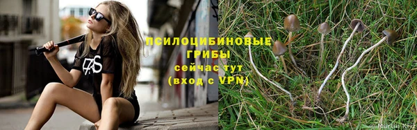 меф Вяземский